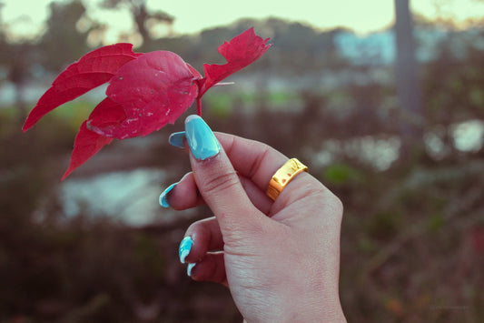 Hormones at Work: Understanding Your Cycle for Peak Performance